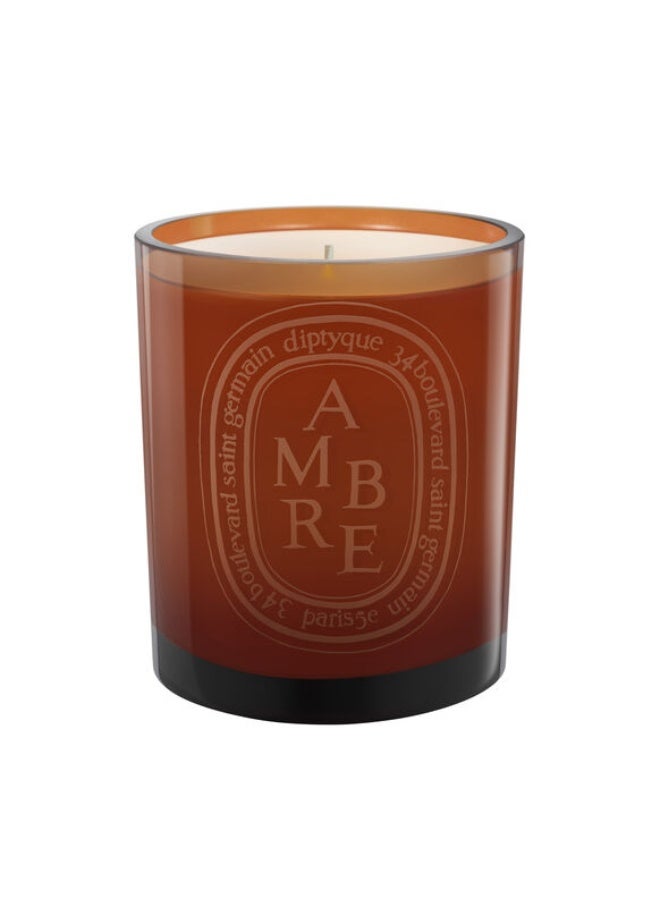 Diptyque Ambre Coloured Candle  300G - Image 1